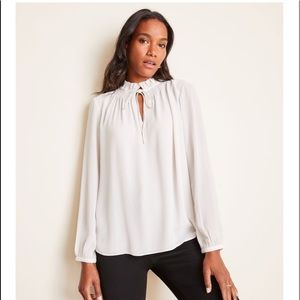 🎉HP🎉 Ann Taylor Smocked Neck Popover, Size MP, Like New